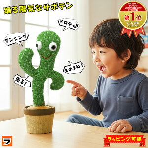 TikTokYouTubełlCIzCȃT{e _VOA~[SyKizT{e  xT{e 120Ȏ^ IEԂ ʂ T{e ^T{e _VOT{e