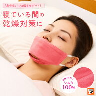 【25日限定クーポンも！】おやすみ用 鼻呼吸シルクマスク レディース 女性用 鼻呼吸マスク いびき防止グ…