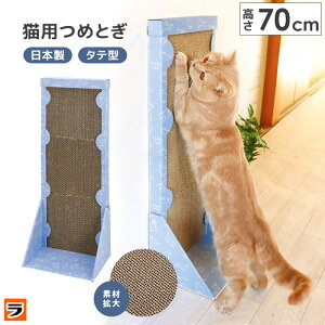 Lp߂Ƃ c^ L ܂Ƃ _{[ lR̒܂Ƃ ˂̒܌ ܖ u^ u Vv LbgXNb`[ LXNb`[ i{[  ܂Ƃ΍ lR L