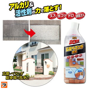 yƖpzx_ |  K`փx_ 500ml  ^C  rCKX  N[i[ 500ml O RN[g oRj[  XX Ƃ |  D RP