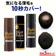 【今だけ限定クーポンも！】増毛スプレー【送料無料】newヘアフォロー 同色 5本セット【正規販売店】生え…