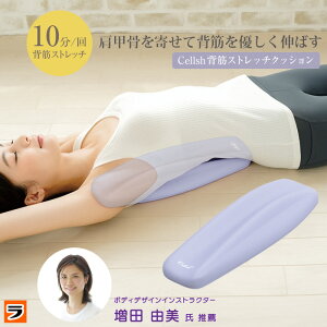 セルシュ 背筋ストレッチクッション 背筋 伸ばす グッズ 背筋ストレッチ 寝ながら 背中 伸ばし ストレッチ クッション 背筋ストレッチャー 肩甲骨はがし 背中クッション 肩こり解消 腰痛対