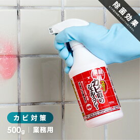 ＼頑固なカビもスッキリ！／業務用 スカッと カビ取りジェルスプレー 500g カビ取りスプレー カビ取り剤 カビとり カビ除去 お風呂 黒カビ落とし カビ取り 除去 強力 カビ取りジェル 除菌 黒カビ タイル 目地 ゴムパッキン