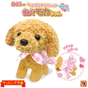 тANV J ߂ drœ ʂ   ObY   ʂ F gCv[h 񂿂  ̂ʂ d a