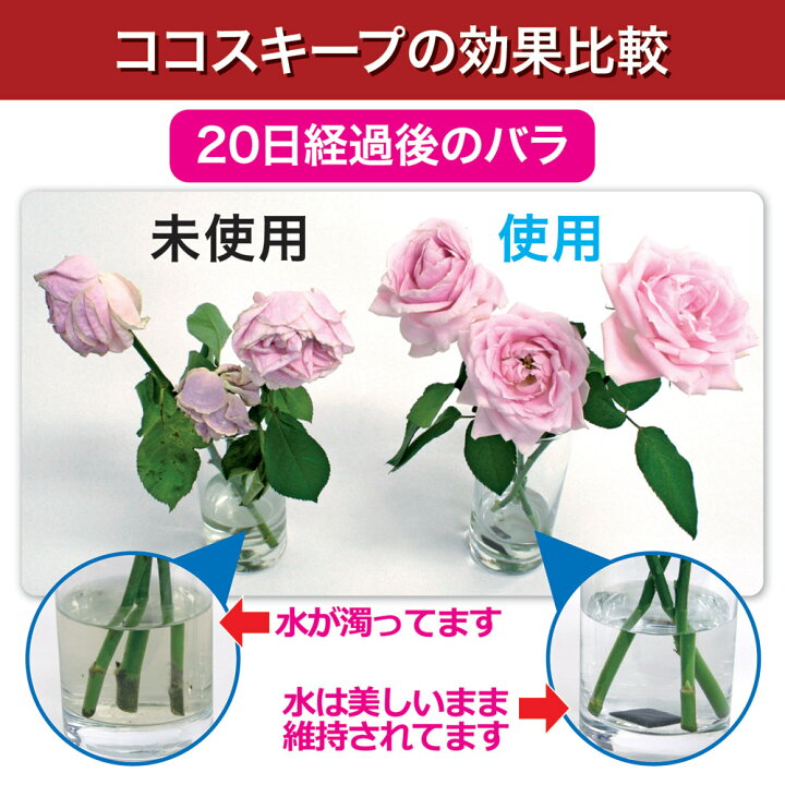 は自分にプチご褒美を 切り花 長持ち ココスキープ 12ヶ入 3個セット Witravel It