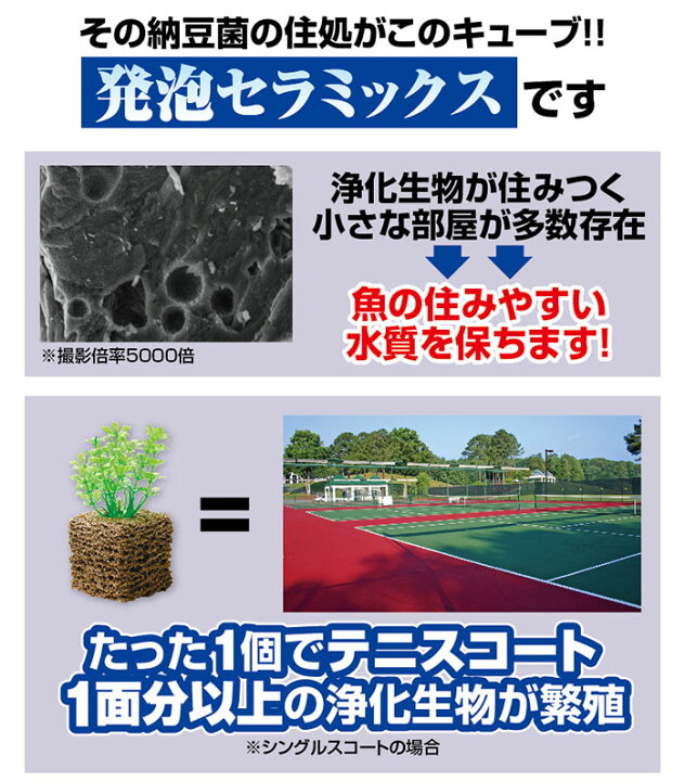 市場 5個ご注文で1個オマケ お魚天国 バイオキューブ アクアリウム用品 60g 掃除用品 熱帯魚 水槽用品 市場 5個ご注文で1個オマケ お魚天国 バイオキューブ アクアリウム用品 60g 掃除用品 熱帯魚 水槽用品