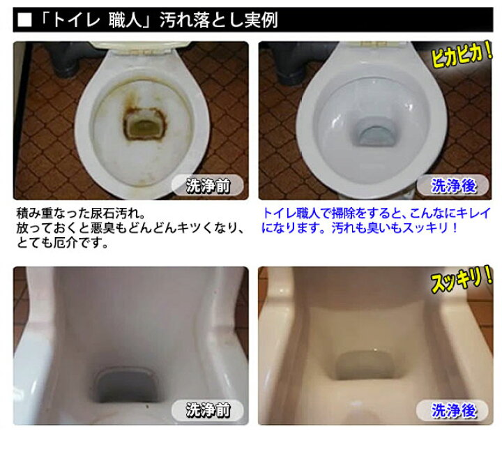 楽天市場 最大1000円offクーポン あす楽対応 尿石除去剤 技職人魂 トイレ職人 スプレーボトル 500mlトイレの尿石落とし トイレの黄ばみ取りに プロのトイレ用洗剤 便器 黒ずみ 汚れ 尿石とり 尿石洗浄剤 アイデアグッズのララフェスタ