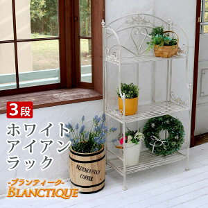 3i v^[bN 61cm ACAbN Vr[ zCg  3iVFt   k 61cm s32cm 120cm  K[fjO Ԓd x_ oRj[ AؔbN K[