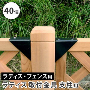 xpt 40Zbg ubN  eBXtŒ tFXŒ eBXŒ   7cm s3.5cm 7cm xt  K[fjO eX x