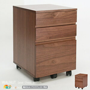 TChS 40cm uE F TCh`FXg LX^[t [bN [S fXNTCh   k _ X^CbV ؐS Ebh`FXg 40cm 
