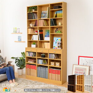 nC^Cv ubNbN 117.8cm _[NuE i` zCg o[t e {I I 117.8cm s30.5cm 210cm   k _ X^CbV ǖʎ