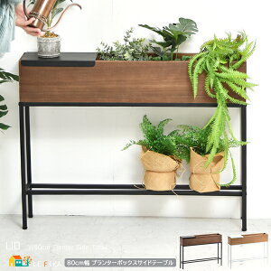 v^[{bNX TChe[u 80cm uE i` Aؔ AؔbN \t@TChe[u [te[u 80cm s16cm 62cm   k _ X^