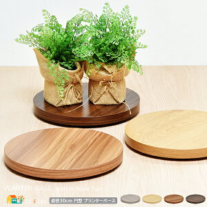 v^[x[X 30cm uE CguE i` O[ LX^[t Aؔ A v^[ 30cm s30cm 3.7cm   k _ X^CbV