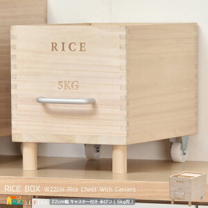 e5kg Ăт 22cm i` LX^[t ğC CXXgbJ[ Lb`[ Ă̕ۊ ˂̕Ăт 22cm s32.5cm 25cm   x[VbN t LX^[