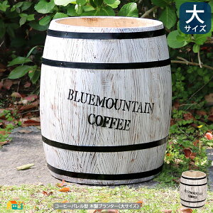 R[q[o^v^[ 35cm TCY 1 Pi zCg ؐv^[ R[q[M^ v^[Jo[   k _ AeB[N a35cm 40cm VR K[