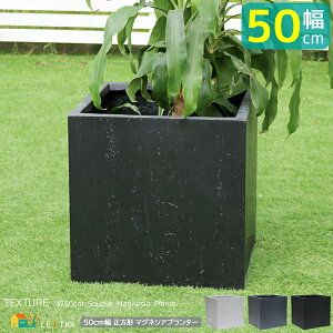 `v^[ 50cm zCg O[ ubN   DF K[fv^[ ` lp`   RN[g 50cm s50cm 50cm Aؔ A ̃v^[ x