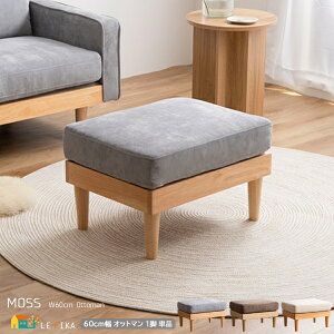 Ibg} 1r Pi 60cm uE O[ AC{[ | ֎q wꖳ Xc[ 60cm s46cm 41cm ʍ41cm   k _ VR؎gp t@ubN R[f