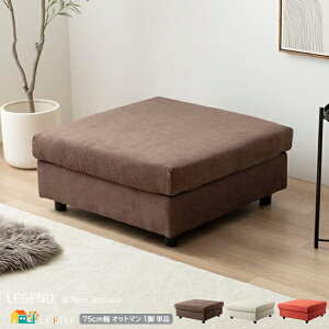 Ibg} 1rPi 75cm R[IW uE AC{[ wꖳ Xc[ ֎q Tu`FA 75cm s75cm 35cm   k _ X^CbV t@ub