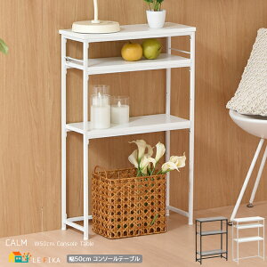 R\[e[u 50cm O[ zCg [bN I X RpNg ȃXy[X fBXvCbN I[vbN 50cm s21cm 80cm   k _ X^