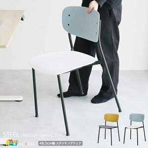 X^bLO`FA 48.5cm O[zCg CG[O[ A[X`FA ItBX`FA Iu I| [N`FA wt   X^CbV fXN