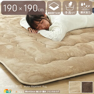 tlJ[ybg 190cm 190cm ` x[W uE O[ O {[O H 􂦂  ~   Vv x[VbN n ʊ