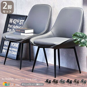 _CjO`FA 2rZbg 53.5cm ubN uE O[ XNGA^Cv XgCv^Cv `FA PUU[ v   X^CbV X`[r A[X`