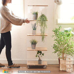 LX^[t ANbN 5i^Cv 45.5cm i`  5i[S TChS fBXvCS   k _ X^CbV rO[ LX^