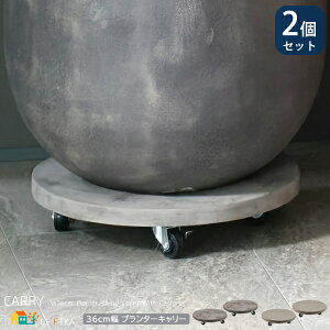 LX^[tv^[L[ F2Zbg 36cm O[ AeB[NzCg Zg LX^[t v^[x[X v^[ A Aؔ Ax[X Aؔ