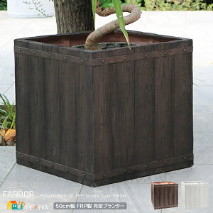 p^v^[ 50cm 1Pi zCg _[NuE ` Aؔ A v^[Jo[ AJo[ AؔJo[ FRP   k _ `v^[ 50cm 