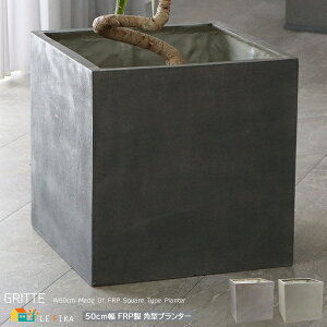 p^v^[ 50cm 1Pi O[ AeB[NzCg ` Aؔ A v^[Jo[ AJo[ AؔJo[ FRP   k _ `v^[ 50c