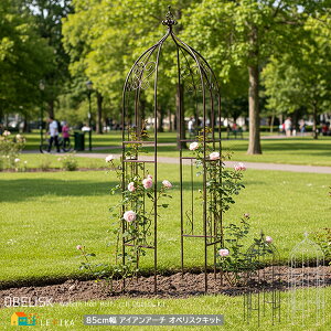 IxXNA[` 85cm zCg _[NuY ACAA[` n[tA[` K[fA[`   _ X^CbV AeB[N IxXN K[fjO  |