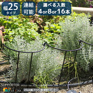 AT|[^[ 25cm^Cv 4{ 8{ 16{ ubN vcT|[g ACA ~` ~^ A\ ~^ ی^ ~` ی` K[fjO    Ԓd Ax ACAx