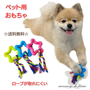  ނ [vgC S {[ ʂ 邨  ߋ XgXU ^s  f^PA ^ ^ɓK Rbg v ybgpi
