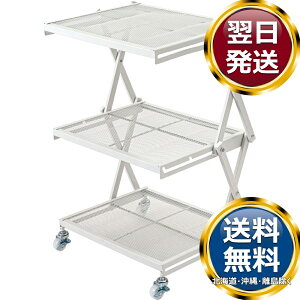 tH[fBObN Xg[W zCg  uh mH   킢  _ lC   o Mtg