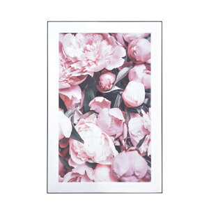 A[gpl zCg  uh mH   킢  _ lC   o Mtg