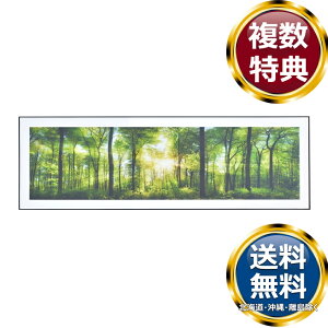 ���J �A�[�g�p�l�� �z���C�g �������� �u�����h �m�H�� ���� ������� ���킢�� ���� ���_�� �l�C �������� ���� �����o�� �M�t�g