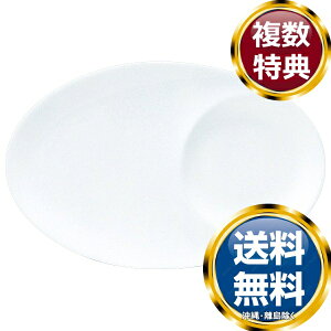 i~ XNGA eBbhrbggC 21cm dqW H@Ή (50481-3503)  uh mH   킢  _ lC   o Mtg