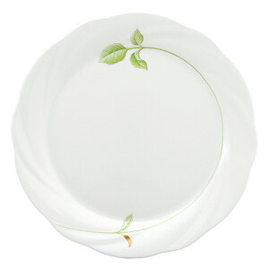 i~ o[ P[Lv[g 20cm (8365-1954)  uh mH   킢  _ lC   o Mtg