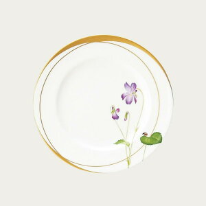 m^P y󒍐YE[Œ5zfBoO 21cmv[gijICX~j