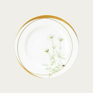 m^P y󒍐YE[Œ5zfBoO 21cmv[giJ~[j