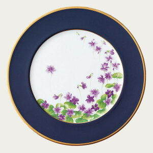 m^P y󒍐YE[Œ5z݂ 30cmv[g