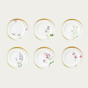 m^P fBoO 21cmv[gA\[gZbgi6jiGςj  uh mH   킢  _ lC   o Mtg