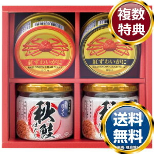 CNÂ  TԂ ԗi i Mtg MtgZbg lߍ킹 yY  b lC 