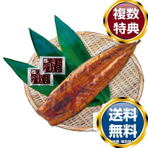 Y Ȃ1200gi2܁ERtjz2  TԂ ԗi i Mtg MtgZbg lߍ킹 yY  b lC 