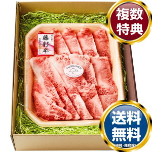 tW`N ʋ Jrēp  TԂ ԗi i Mtg MtgZbg lߍ킹 yY  b lC 