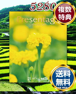 J^OMtg x v[e[W Jebgi5280~R[Xj  TԂ ԗi i Mtg MtgZbg lߍ킹 yY  b lC 