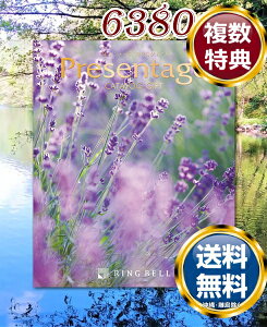 J^OMtg x v[e[W rIi6380~R[Xj  TԂ ԗi i Mtg MtgZbg lߍ킹 yY  b lC 