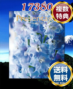 J^OMtg x v[e[W |l[Yi17380~R[Xj  TԂ ԗi i Mtg MtgZbg lߍ킹 yY  b lC 