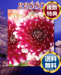 J^OMtg x v[e[W ATui22880~R[Xj  TԂ ԗi i Mtg MtgZbg lߍ킹 yY  b lC 