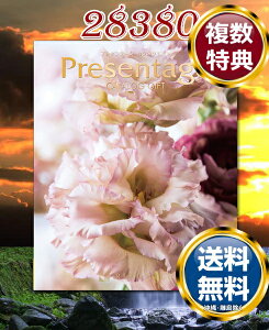J^OMtg x v[e[W AOi28380~R[Xj  TԂ ԗi i Mtg MtgZbg lߍ킹 yY  b lC 